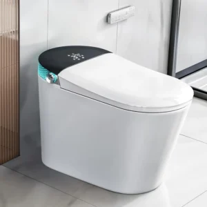 Smart Toilet