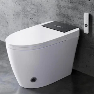 Smart Toilet with Bidet Built In